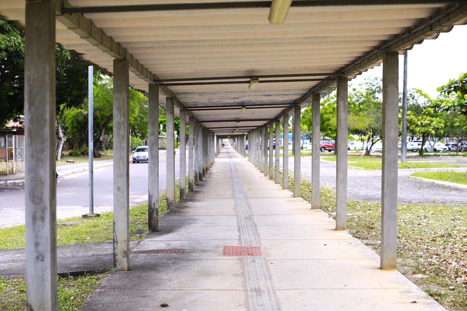 (Foto: Carol Matos/Ascom UFS)