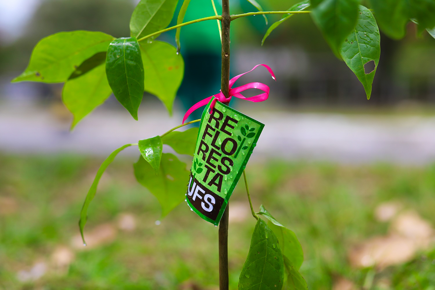 (Foto: Janaína Cavalcante/Ascom UFS)